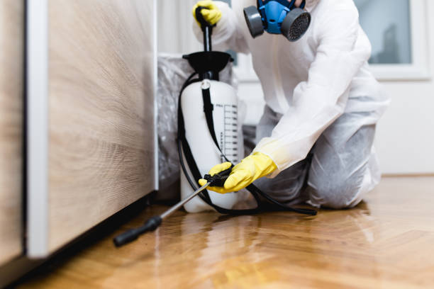 Best Local Pest Control Services  in Utica, NY