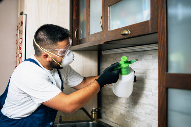 Best Pest Removal Services  in Utica, NY