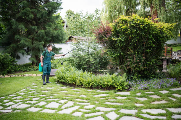 Best Pest Control Near Me in Utica, NY