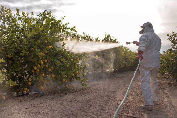 Pest Control Cost in Utica, NY