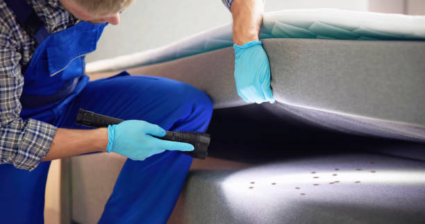 Best Mosquito Control Services  in Utica, NY
