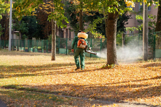 Best Best Pest Control Companies  in Utica, NY