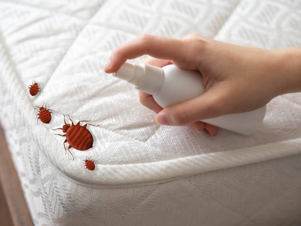 Best Local Pest Control Services  in Utica, NY