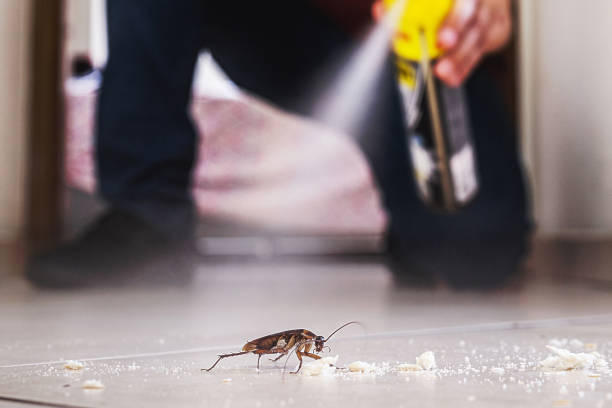 Best Pest Prevention Services  in Utica, NY