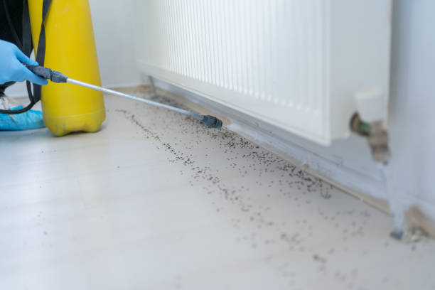 Best Pest Prevention Services  in Utica, NY