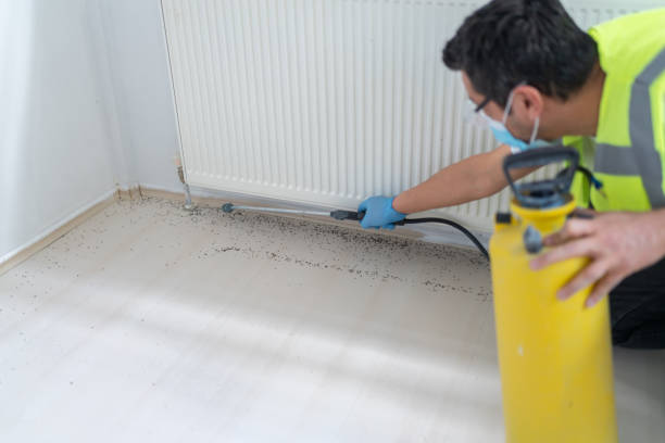 Best Commercial Pest Control Services  in Utica, NY
