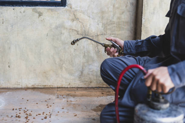 Best Wasp Removal Services  in Utica, NY